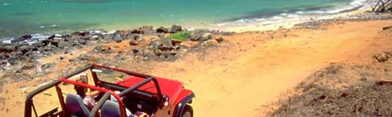 Driving a red Rent-a-Jeep on the island of Molokai