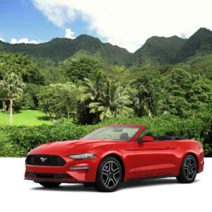 Hawaii Convertible Rental