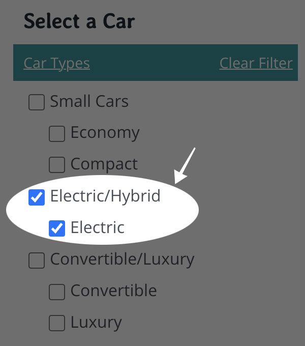 ev-electric-checkbox-art