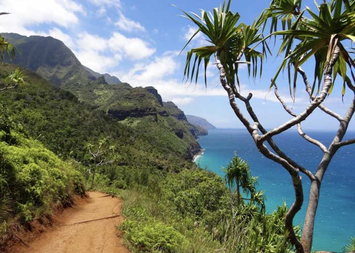 kauai hiking trail