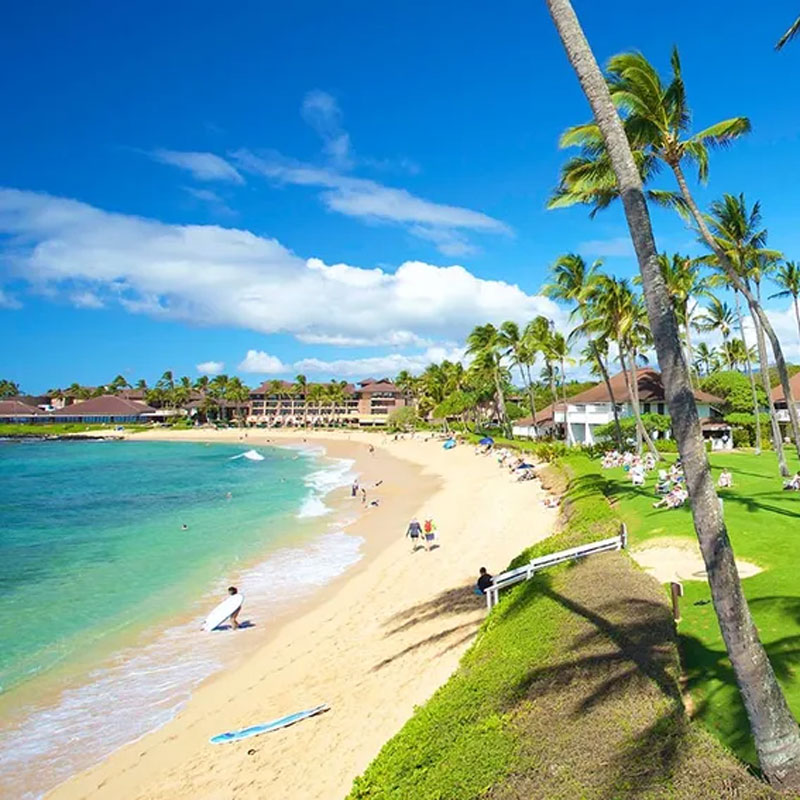 Rental Cars for Kauai and beyond Aloha Rents Cars in Hawaii