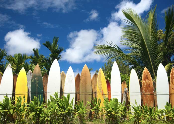 Maui surfboard fence
