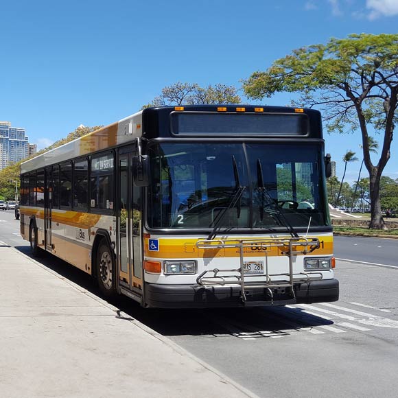 the bus oahu hawaii