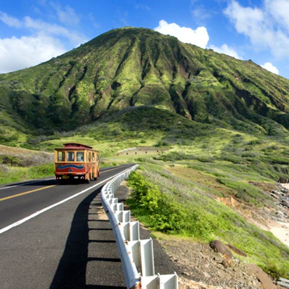 waikiki trolley